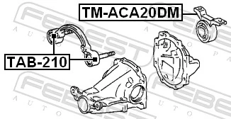 TMACA20DM Febest Сайлентблок (подушка) редуктора заднього моста, задній