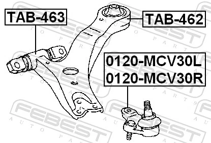 TAB462 Febest Сайлентблок переднього нижнього важеля