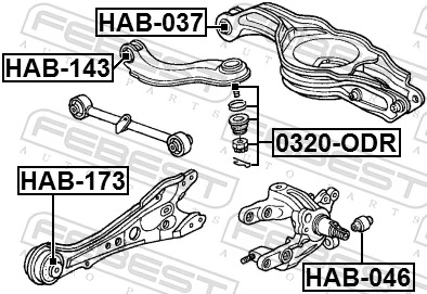 HAB173 Febest Сайлентблок задньої балки