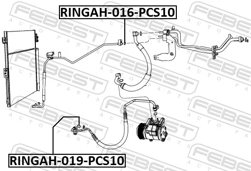 RINGAH019PCS10 Febest 