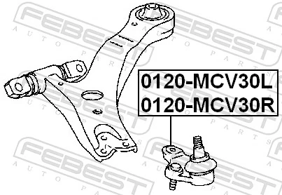 0120MCV30L Febest Кульова опора, нижня, ліва