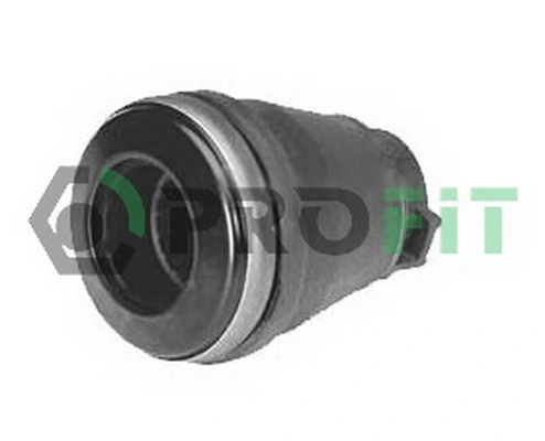 Купити Вижимний підшипник Renault Scenic II JM0, JM1