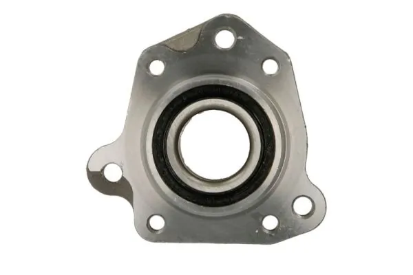 Підшипник маточини задньої SNR TGB43655S01 ціна, від 27.71 USD