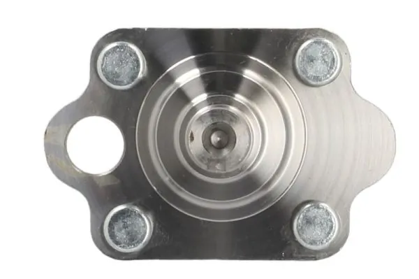Цапфа - поворотний кулак задній, лівий 96535151 Parts-Mall