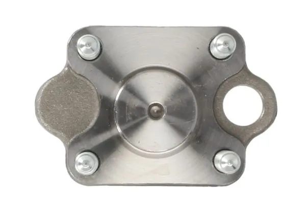 Цапфа - поворотний кулак задній, лівий Parts-Mall 96535151
