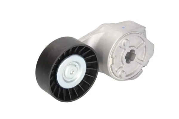 Натягувач приводного ременя DAF 45 вантажівка c бортовою платформою / шасі (2001 - 2026) ціна, від 52.56 USD