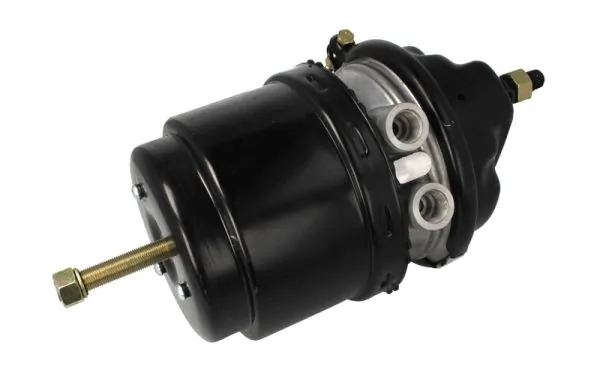 Купити 1686001 DAF Камера гальмівна