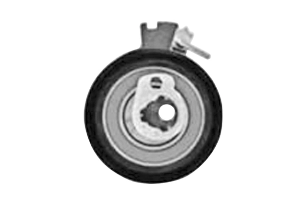 VKM13256 SKF Натягувач ременя ГРМ