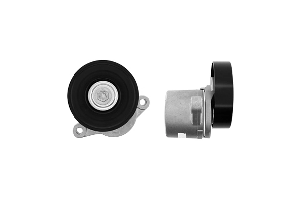 Натягувач приводного ременя SKF VKM66005 ціна, від 57.38 USD