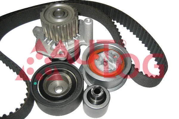 Купити Комплект ГРМ Volkswagen Passat B6 3C2
