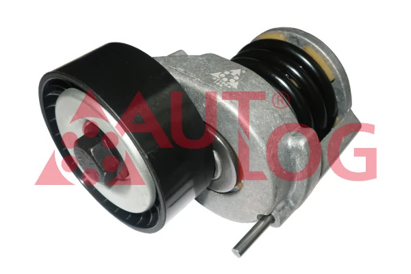 Натяжна планка поліклинового ременя на Skoda Rapid  NH3, NK3, NK6