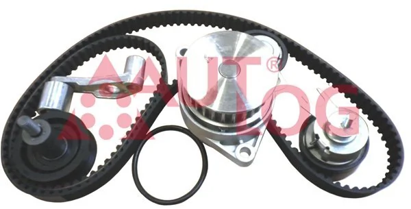 Комплект ГРМ 530008930 Polcar