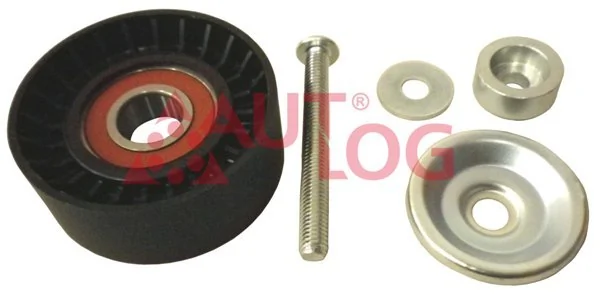Ролик приводного ременя, паразитний 532065210 Polcar