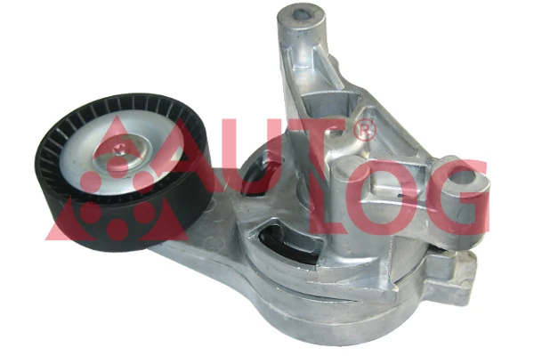  Натягувач приводного ременя Skoda SuperB 2