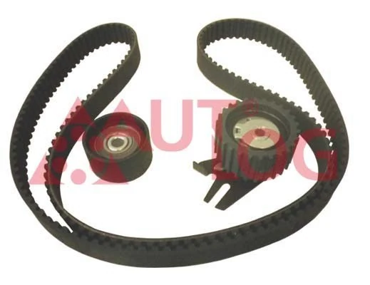 Комплект ГРМ Peugeot/Citroen 93191277 ціна, від 75.60 USD