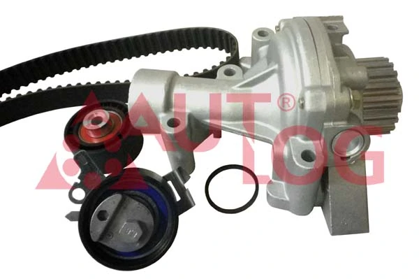Купити Комплект ГРМ Peugeot 406  8C