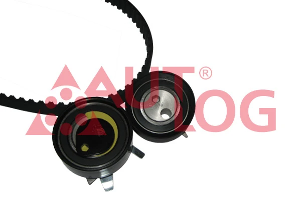 Комплект ГРМ Polcar 530006210 ціна, від 93.52 USD