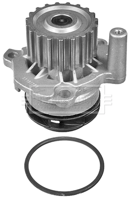 Водяний насос Maxgear MGC5443