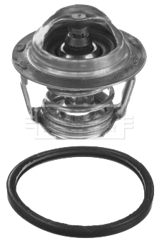 Купити TE0191 Magneti Marelli Термостат в корпусі