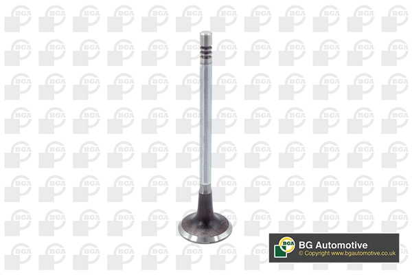 Купити 9814152480 Peugeot/Citroen Клапан впускний