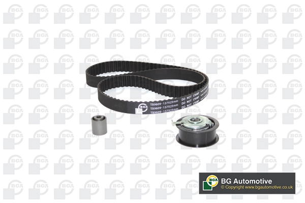 Комплект ГРМ 530037710 Polcar