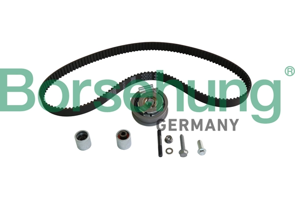B10226 Borsehung