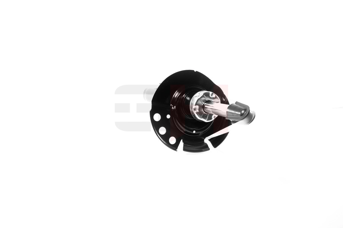 Купити 8053GR Magneti Marelli Амортизатор передній, правий