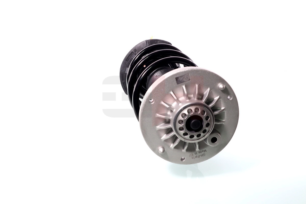 8051GL Magneti Marelli Ліва передня стійка