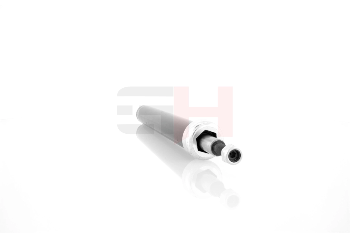 GH314700 GH Стійка передня