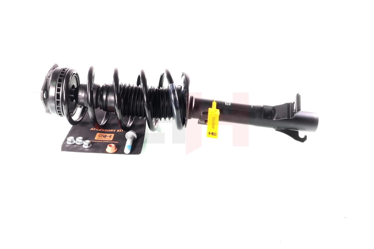Купити 352510070200 Magneti Marelli Амортизатора передній лівий