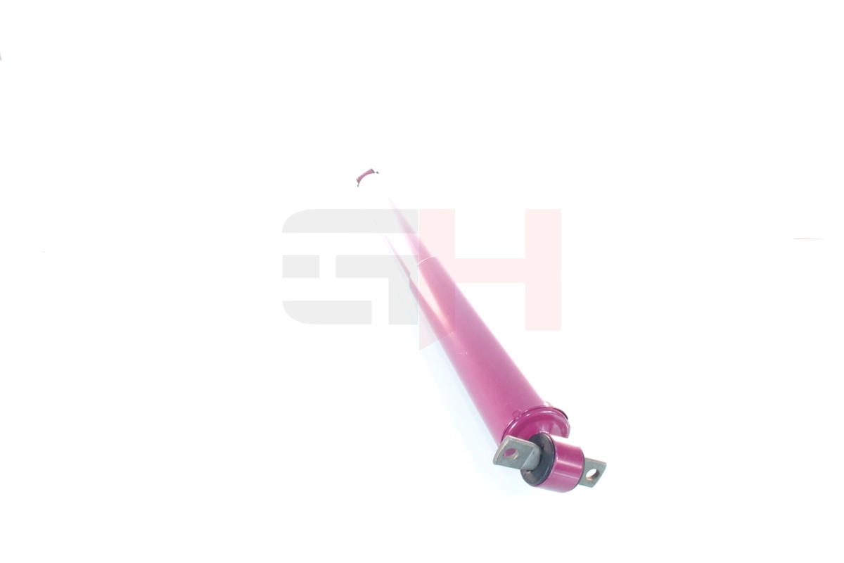 Амортизатор задній Ford 5U2Z18V125AM ціна, від 66.79 USD