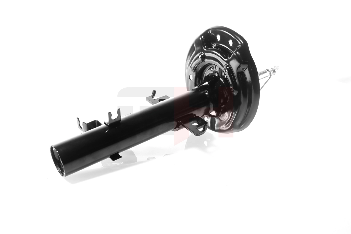 8029GL Magneti Marelli Ліва передня стійка
