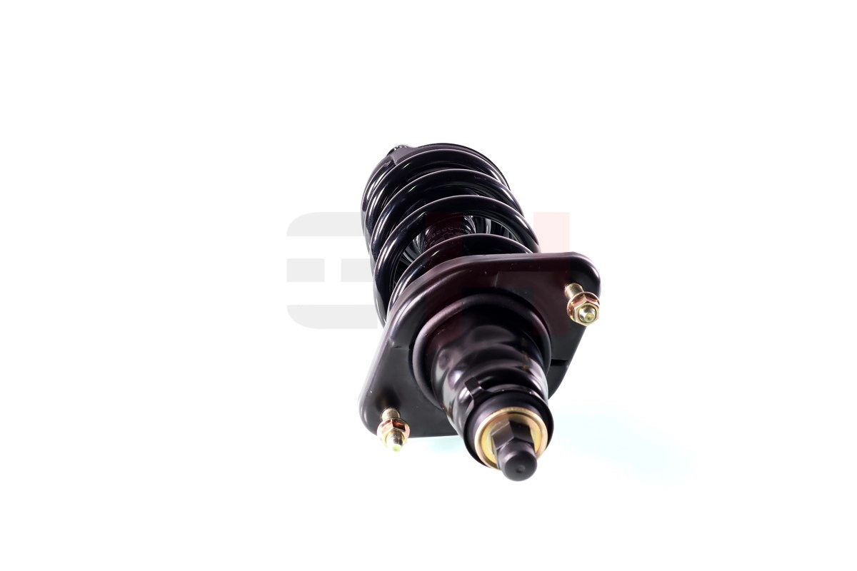 GH332643C01 GH Амортизатори задні