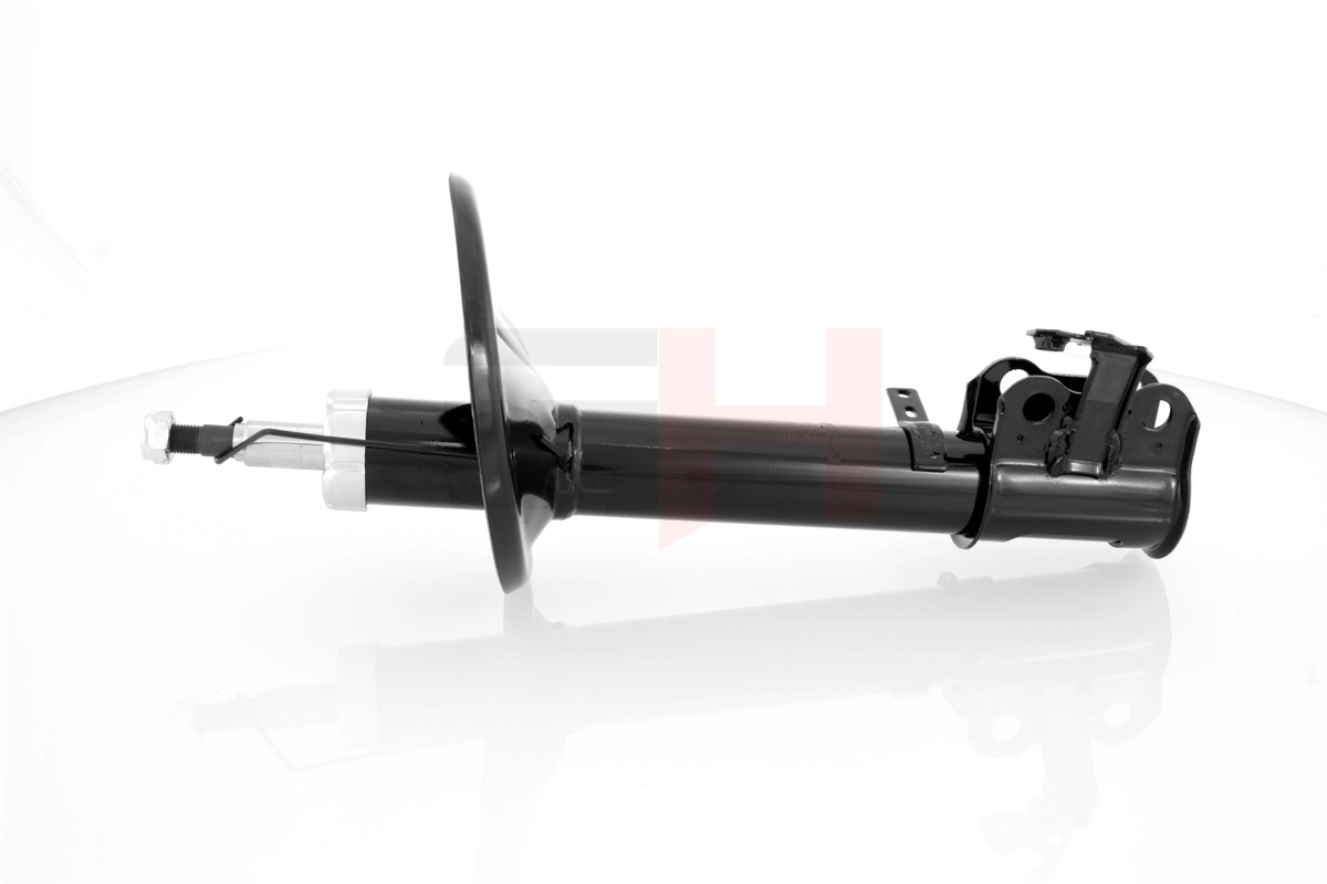 Амортизатора передній лівий P303061 Bilstein