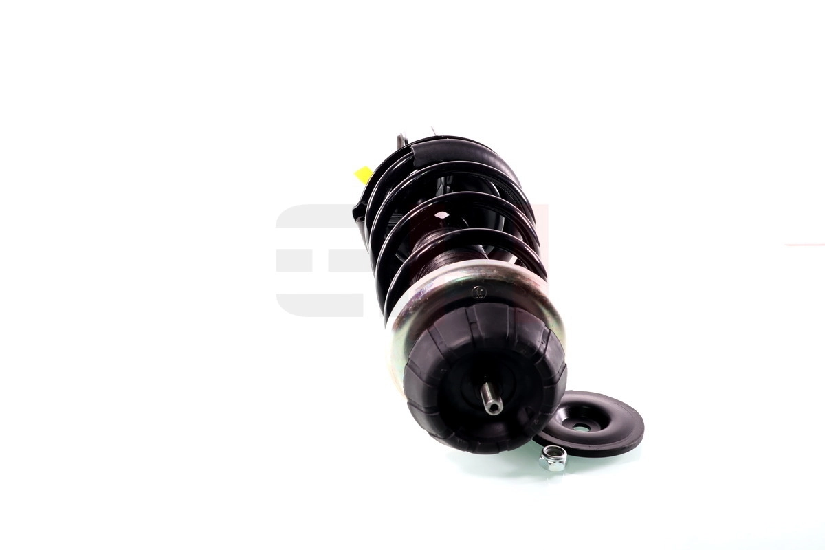 7096GL Magneti Marelli Ліва передня стійка