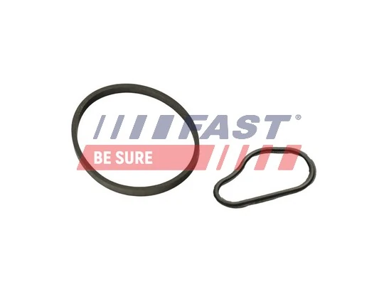 FT48943 Fast Прокладка вакуумного насоса