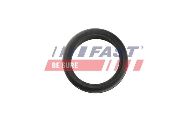 Прокладка турбіни, гнучка вставка Fast FT48953 ціна, від 18.22 USD