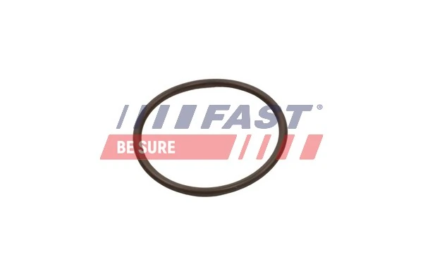 FT49933 Fast Кільце ущільнювача патрубка интеркуллера