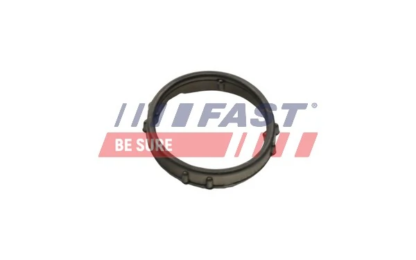 FT57406 Fast Шланг термостата