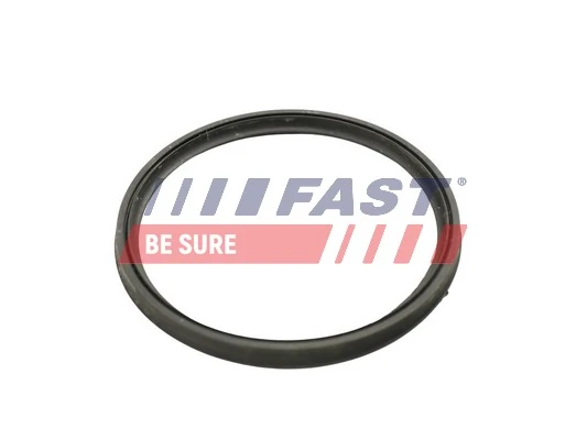 FT49922 Fast Кільце ущільнювача патрубка интеркуллера