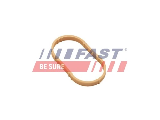 Прокладка впускного колектора Renault Scenic II мінівен (JM0, JM1) (2003 - 2009) ціна, від 2.18 USD