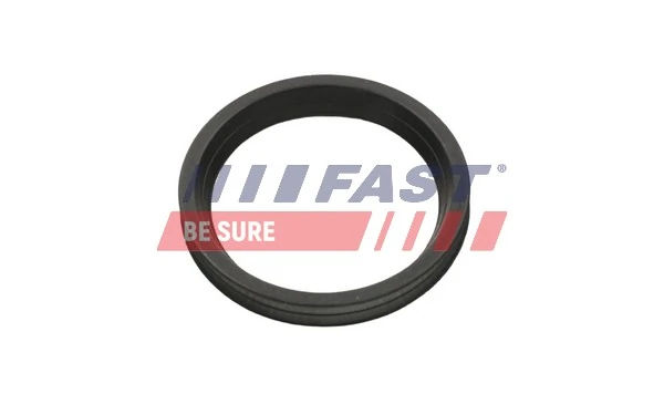 FT48956 Fast Кільце ущільнювача патрубка интеркуллера