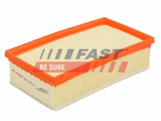 FT37175 Fast Повітряний фільтр двигуна