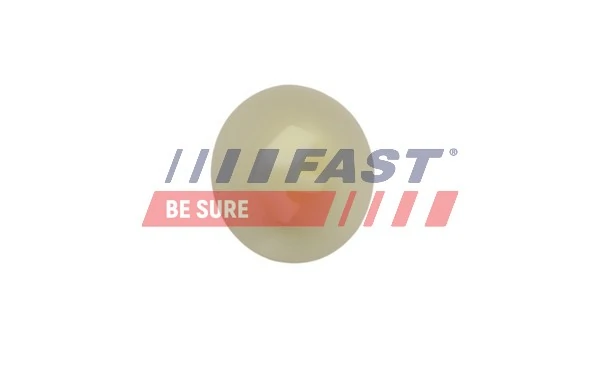 FT96606 Fast Кліпса (пістон) кріплення молдинга двері