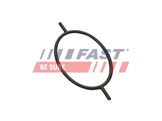 FT49923 Fast Прокладка вакуумного насоса