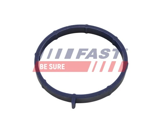 FT49467 Fast 