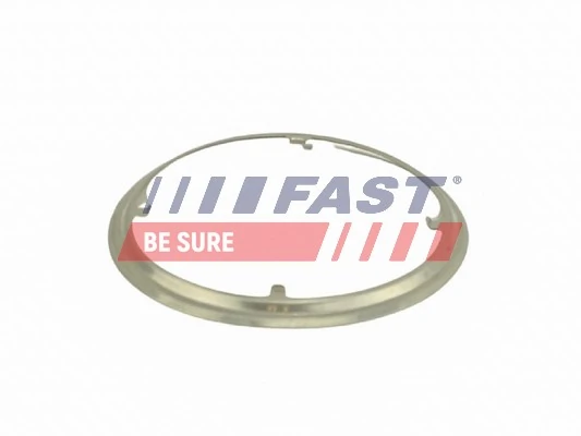 FT84817 Fast Прокладка фільтра сажі передня
