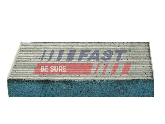 FT37421PM Fast Внутрішньосалонний фільтр