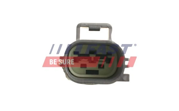 Купити FT81702 Fast Форсунка вприскування AD BLUE