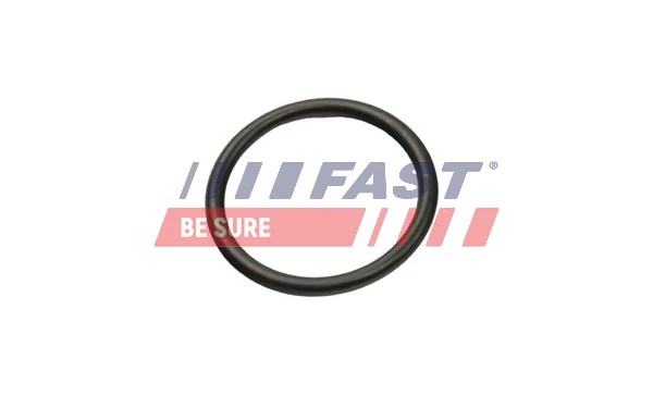 FT49927 Fast 